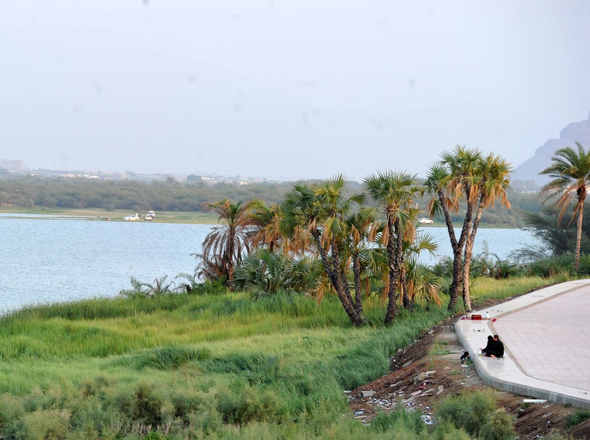 قصة مصورة : منتزه بحيرة السد .. منتجع سياحي بارز في أبوعريش