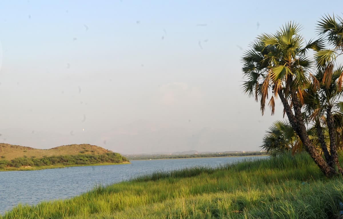 قصة مصورة : منتزه بحيرة السد .. منتجع سياحي بارز في أبوعريش