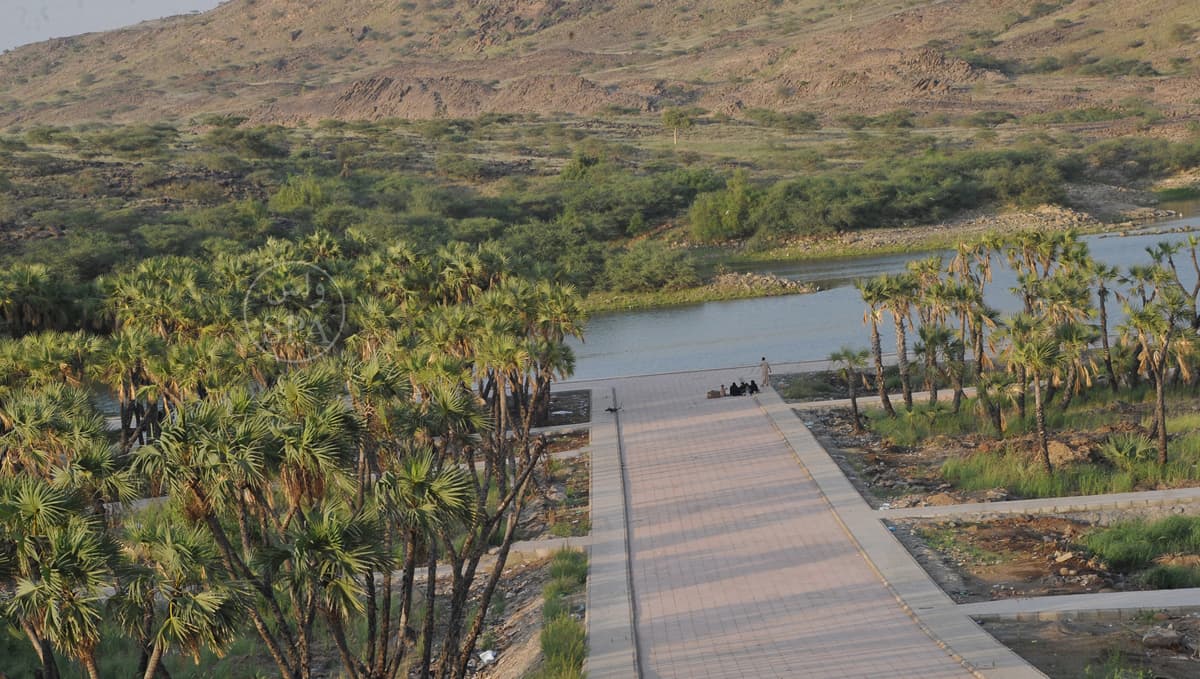 قصة مصورة : منتزه بحيرة السد .. منتجع سياحي بارز في أبوعريش