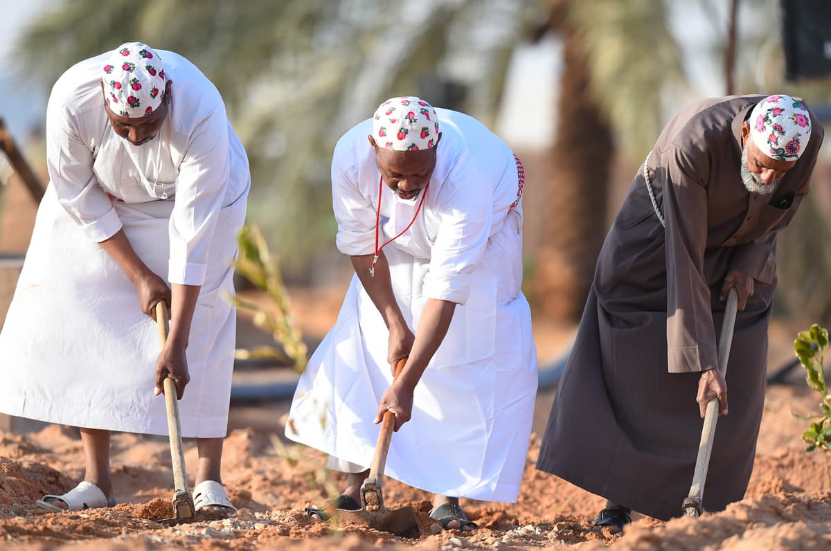 قصة مصورة : مهرجان "ربيع بريدة 36" يواصل فعالياته المتنوعة