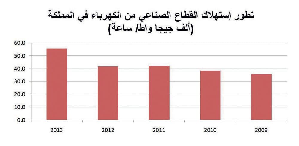 «البتروكيماويات» تستحوذ على 50 % من استهلاك الطاقة في القطاع الصناعي