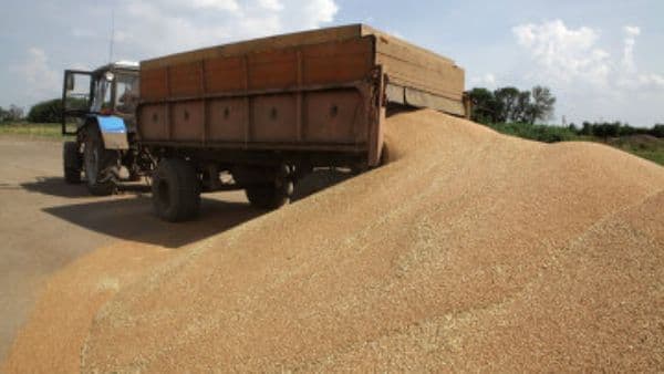 ليبيا تبدأ السحب من احتياطيات القمح لمواجهة نقص الطحين