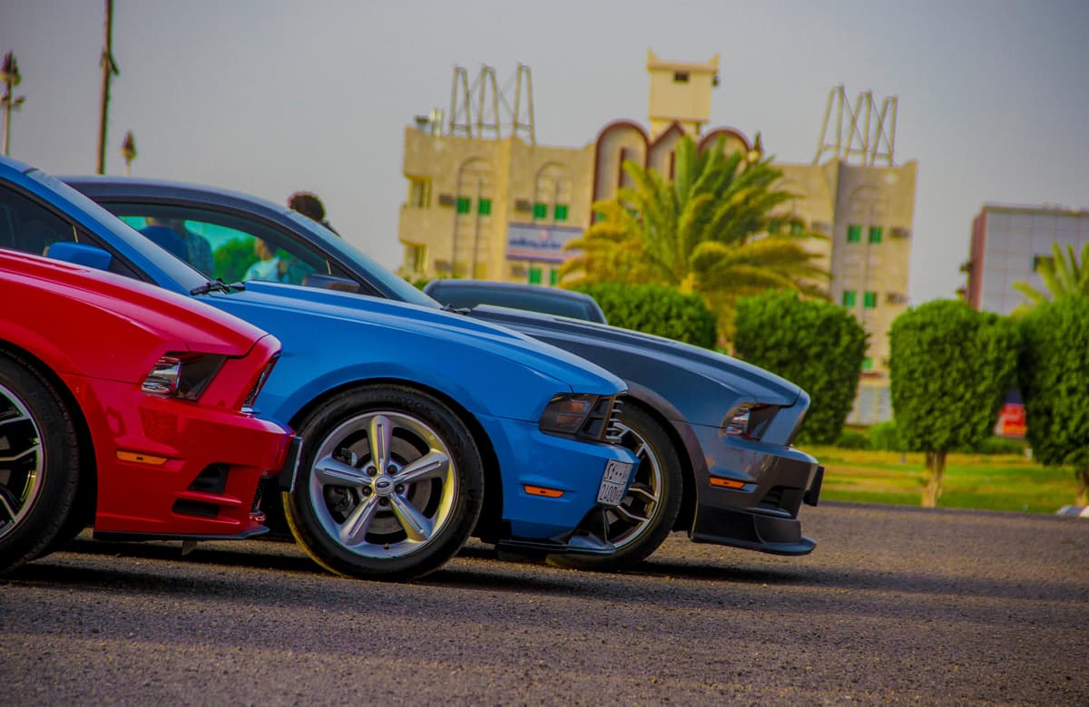 مهرجان الورد والفاكهة في تبوك يواصل فعالياته