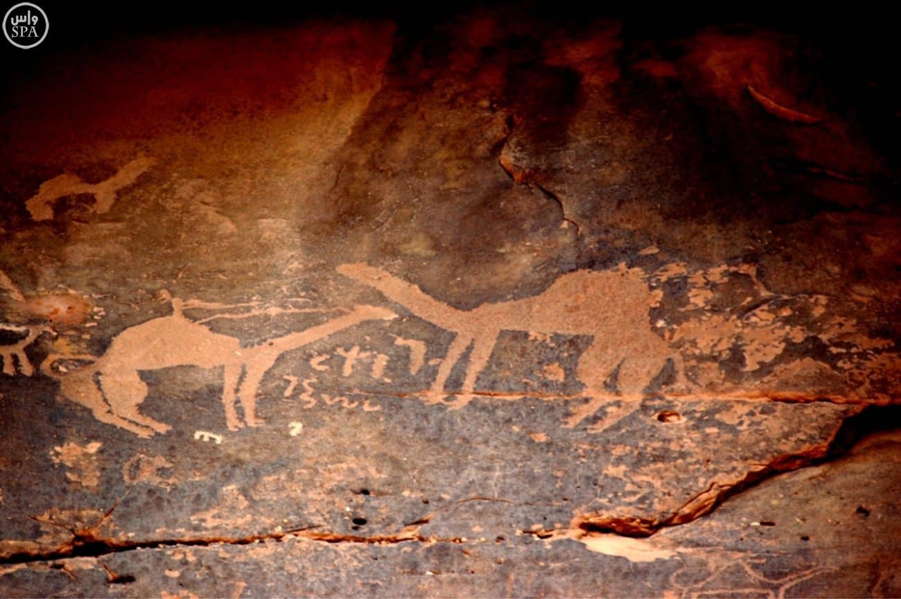 مدينة جبة الأثرية بحائل تدخل ضمن قائمة التراث العالمي