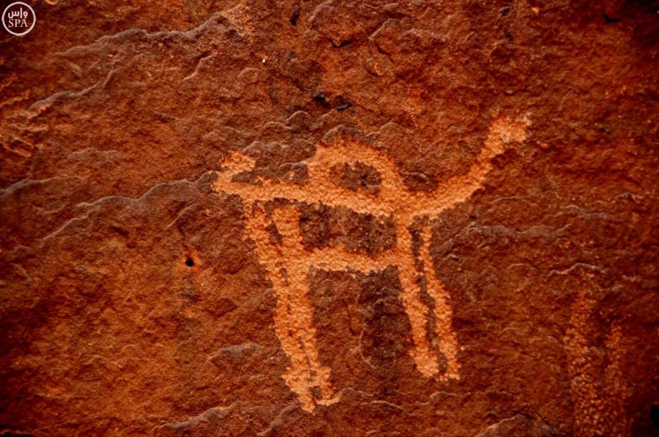 مدينة جبة الأثرية بحائل تدخل ضمن قائمة التراث العالمي