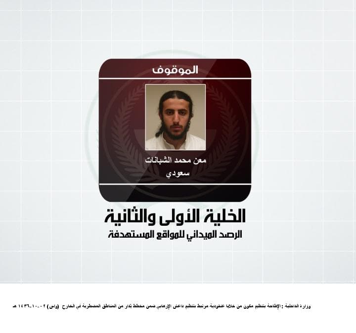 431 من خلايا "داعش" في قبضة الداخلية