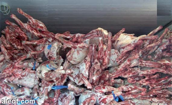 أمانة الأحساء تُصادر كميات من اللحوم الفاسدة