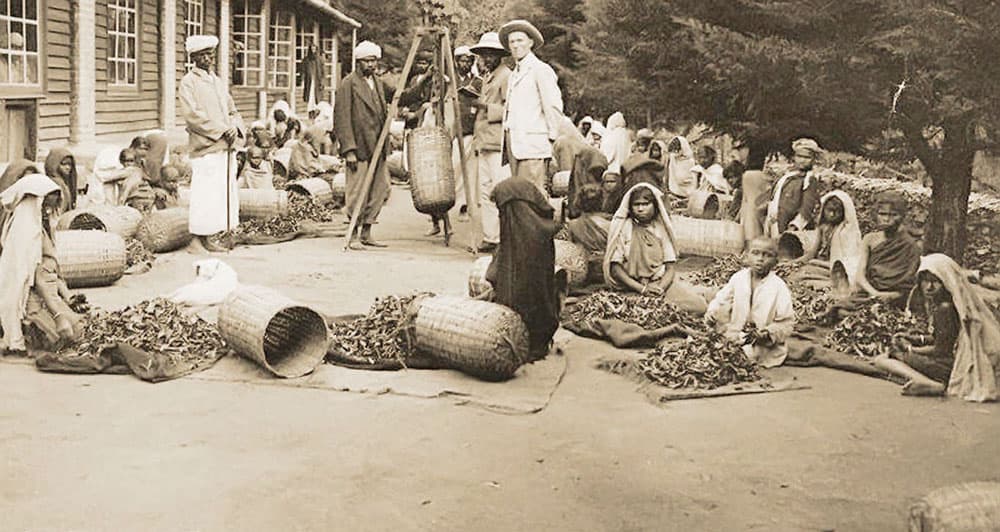 الشاي قصة حضارة ونمط تفكير .. نظرات جمالية وسجالات فقهية