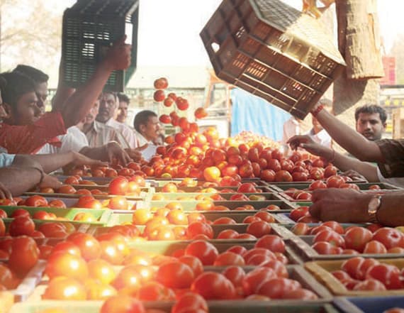 192 ألف طن واردات السعودية
من الطماطم خلال عامين