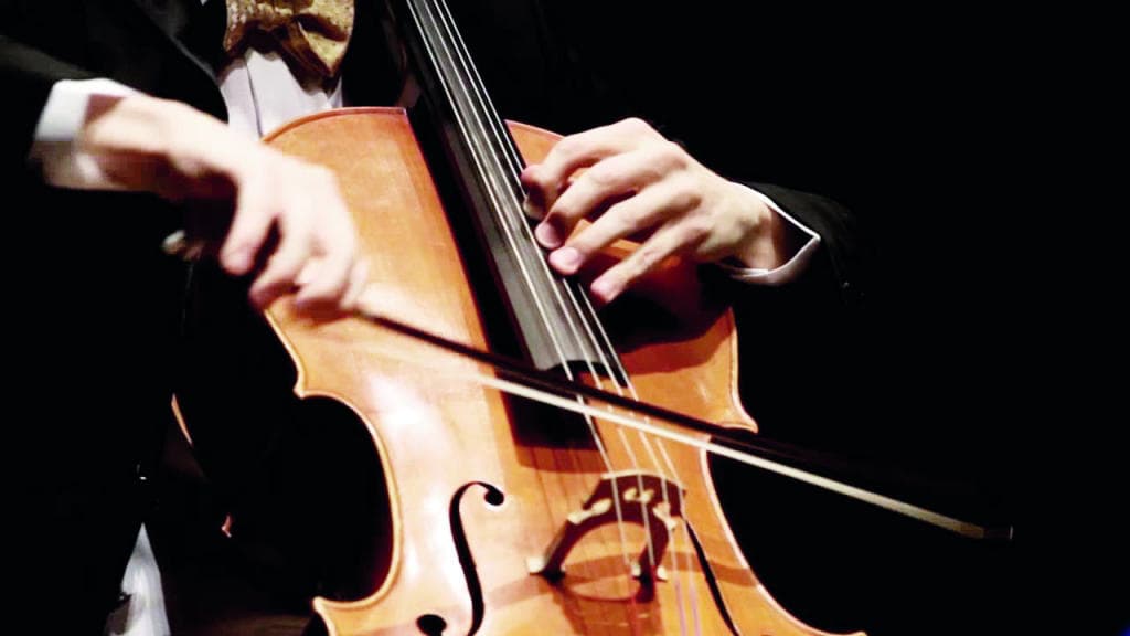 جولة لمدة عام حول الكمان الكبير الراكز .. التشيلو