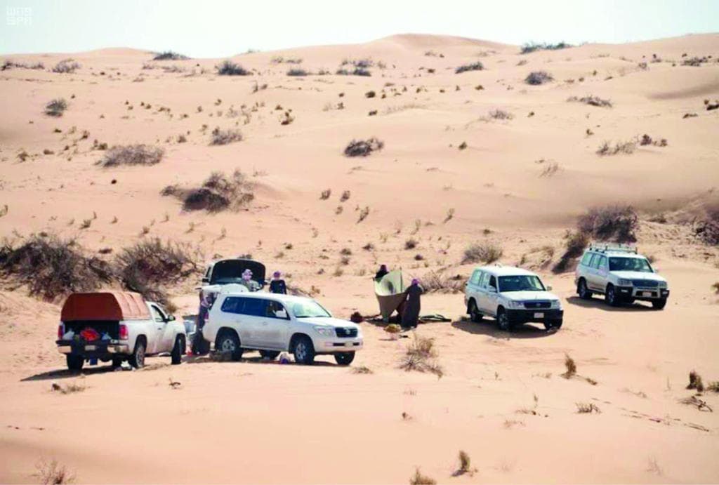 صحراء حائل المرتوية بماء المطر تجذب المخيمين