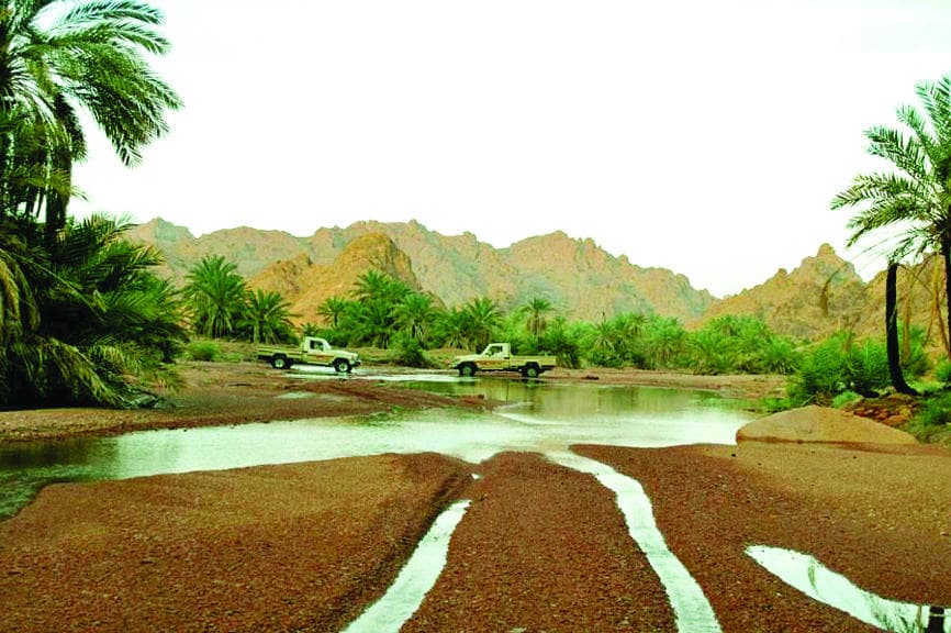 يدمة .. جبال وكثبان وأودية تحكي تاريخا من الطبيعة