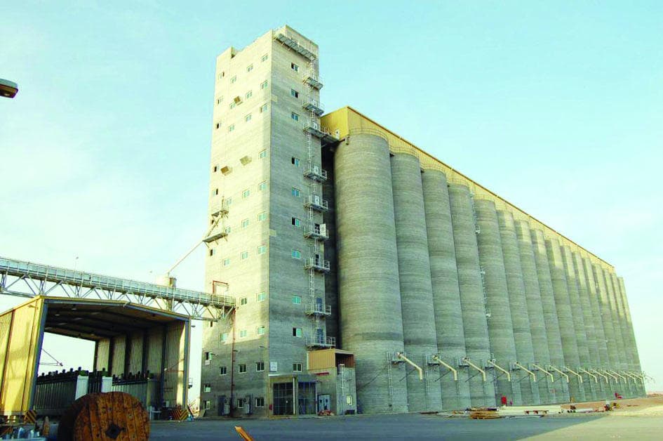 «الحبوب»: الإعلان عن المستشار المالي لتخصيص شركات المطاحن «قريبا جدا»