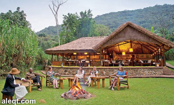 نزل بويندي في غابة بويندي في أوغندا 