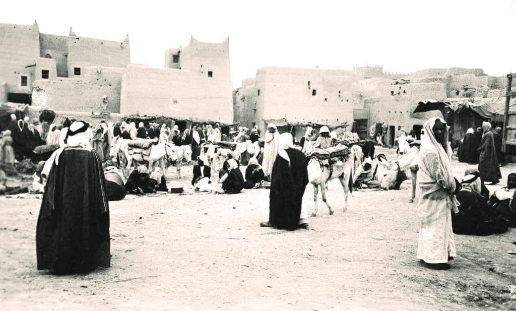 الرياض في أدب الرحلات الأردية