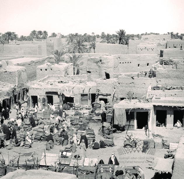 الرياض في أدب الرحلات الأردية