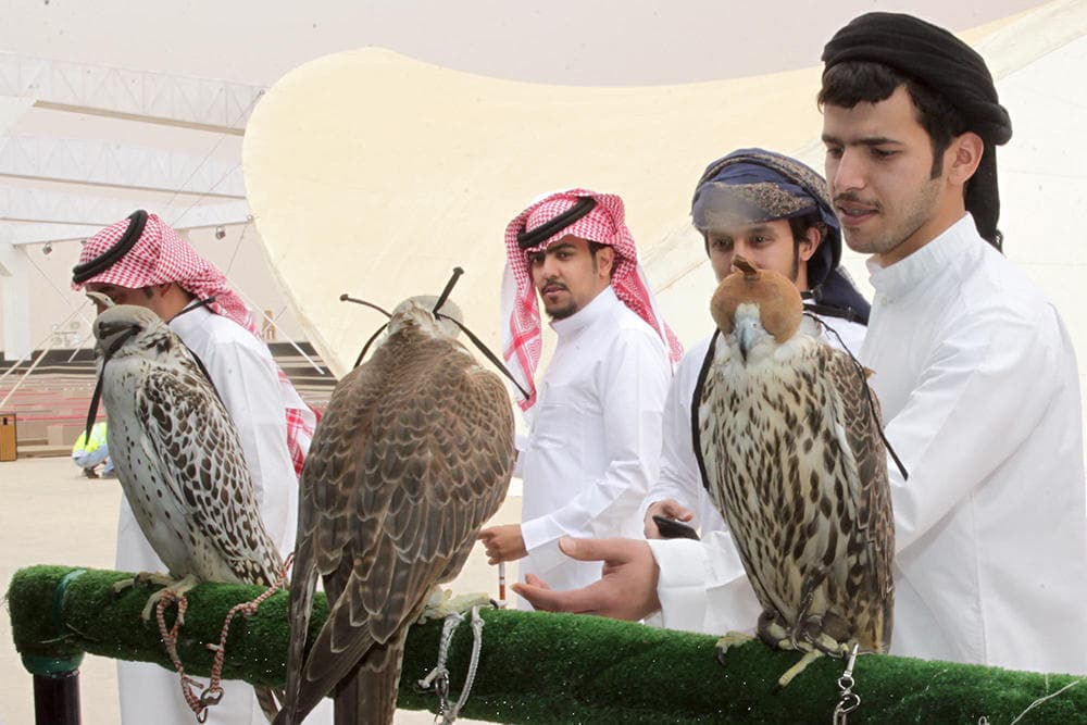 الملك يدشن غدا القرية السعودية للإبل ويرعى الحفل الختامي لمهرجان الإبل