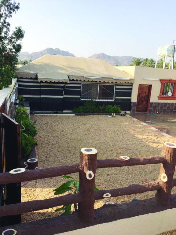 ديوانيات نجران تزاحم «تويتر» و«فيسبوك» .. في إشغال شباب المنطقة عن أسرهم