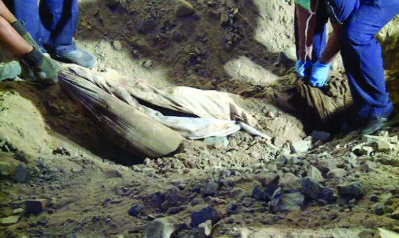 إيقاف 46 مطلوبا في خلية «الحرازات» .. متورطين في اعتداء الحرم النبوي