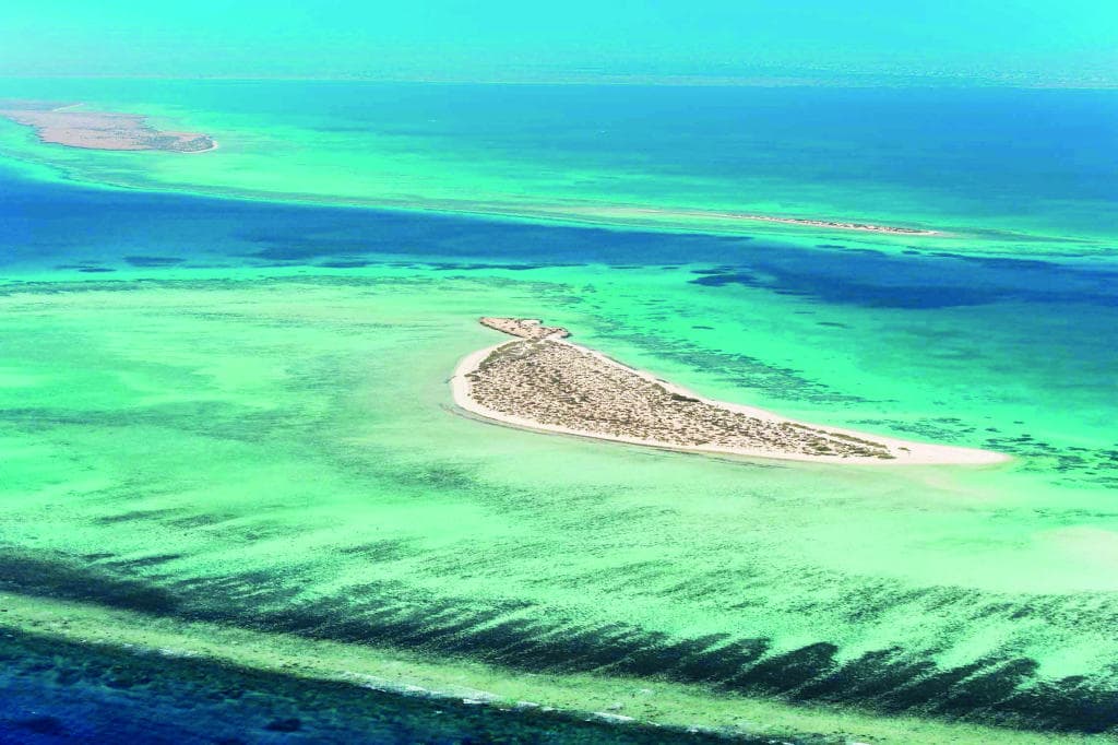 أمين "السياحة العالمية" لـ"الاقتصادية": السعودية تتحول إلى قوة رئيسة في اقتصاد الخدمات