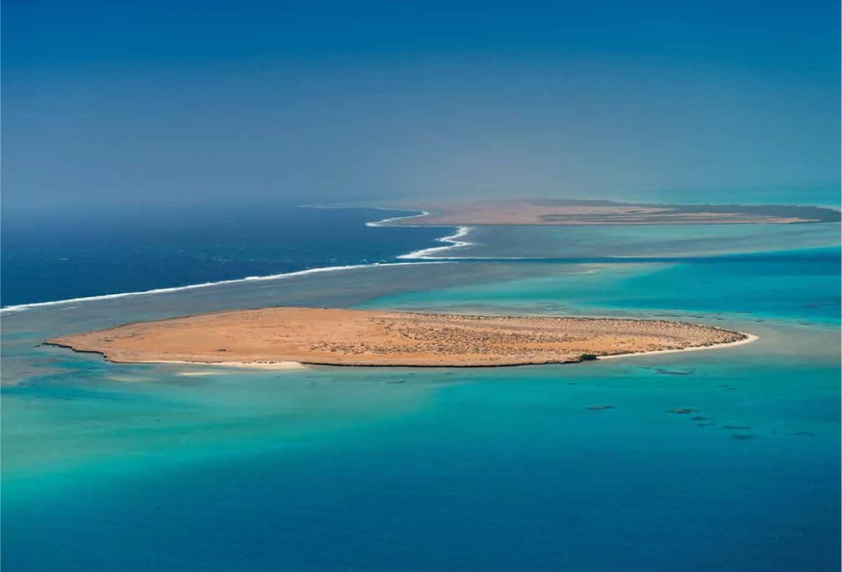 مشروع "البحر الأحمر" .. وثبة حضارية ورحلة تنزه في الحدائق المرجانية