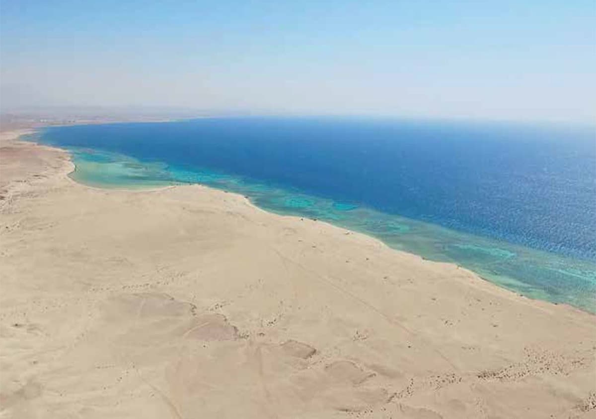 مشروع "البحر الأحمر" .. وثبة حضارية ورحلة تنزه في الحدائق المرجانية