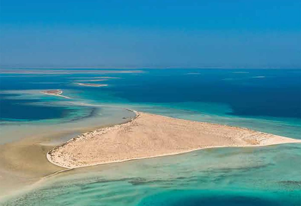 مشروع "البحر الأحمر" .. وثبة حضارية ورحلة تنزه في الحدائق المرجانية