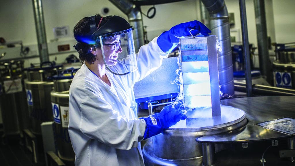 «الطب الدقيق» يفك شفرة الأورام السرطانية