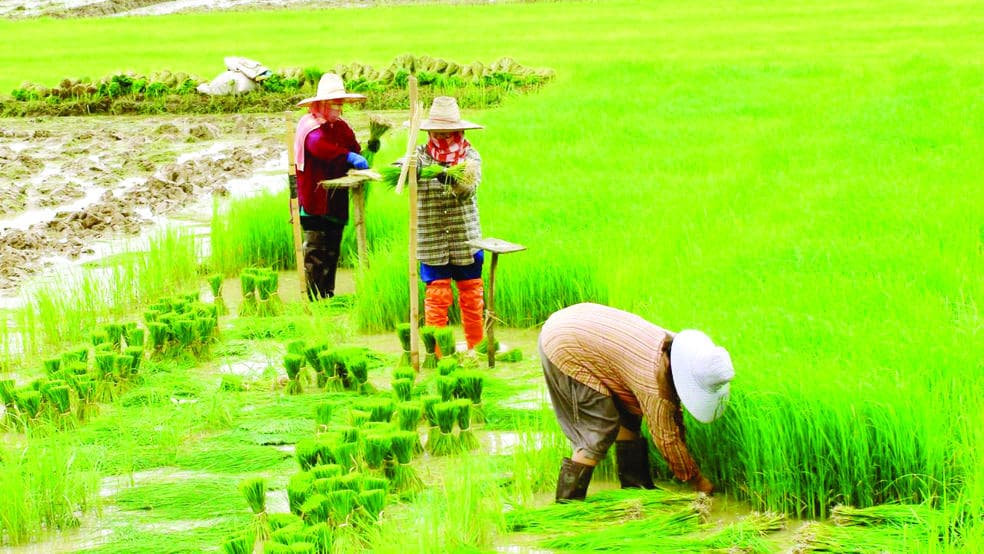  1.4 تريليون دولار فاتورة استيراد الأغذية حول العالم .. رقم مرعب 