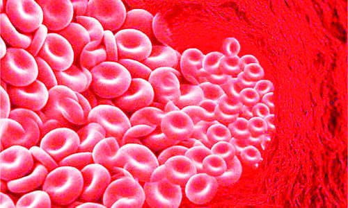 عالم كمبيوتر يفك شيفرة «أكثر الكتب غموضا في العالم»