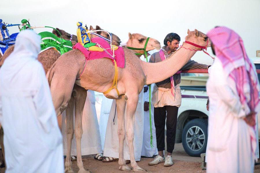 أسواق بيشة التاريخية.. أهمية اقتصادية على مر التاريخ