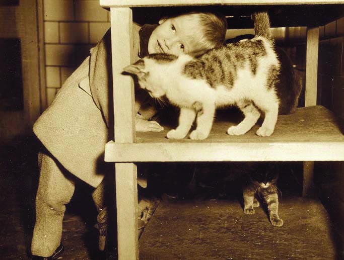 أسرار غرابة ارتباط الرفق بالحيوان بالسياسة والتوجهات النباتية