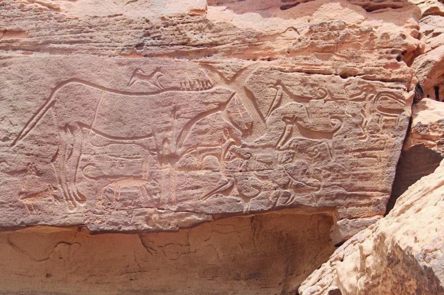 الحضارات الإنسانية في السعودية قبل التاريخ ترويها «نقوش صخرية»