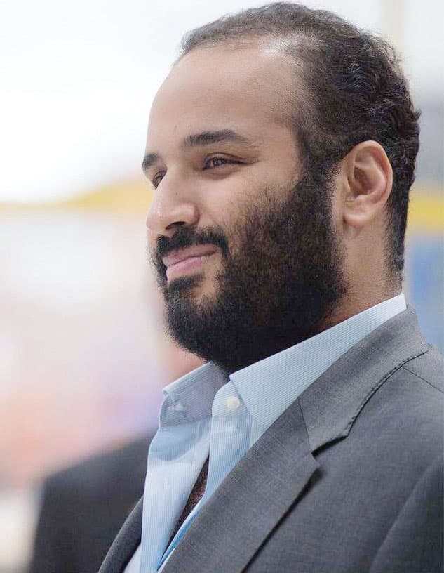 الأمير محمد بن سلمان ولي العهد