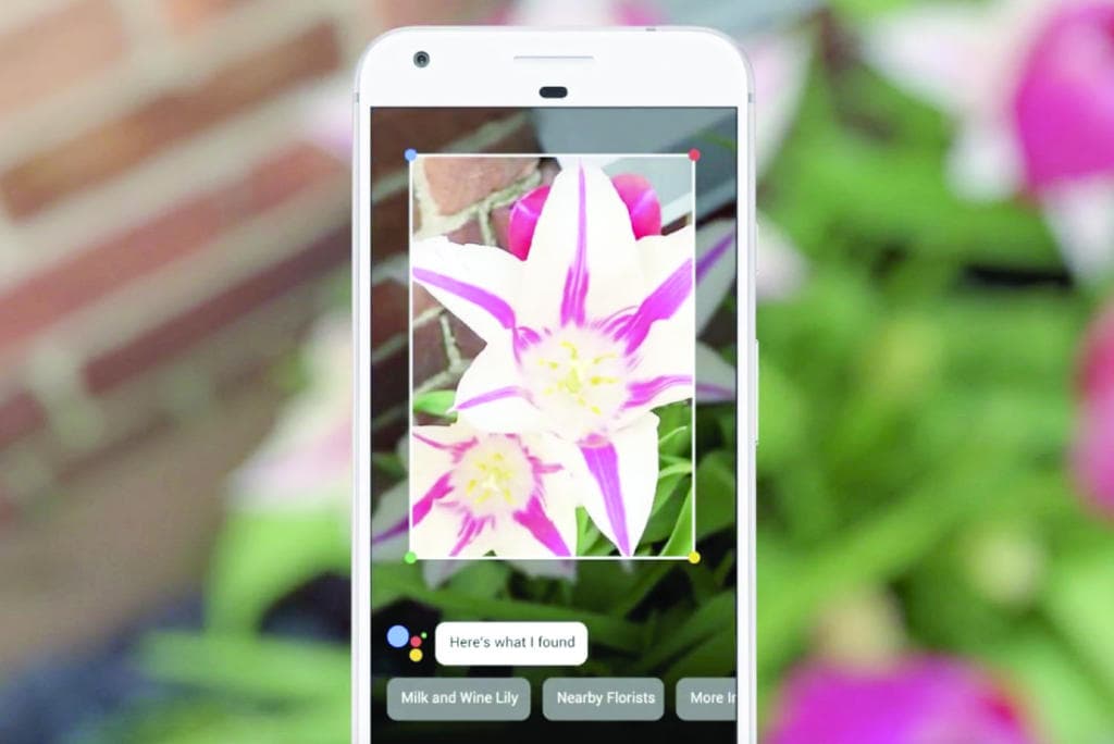 Google Lens  البديل الجديد لتطبيق الصور من «جوجل»