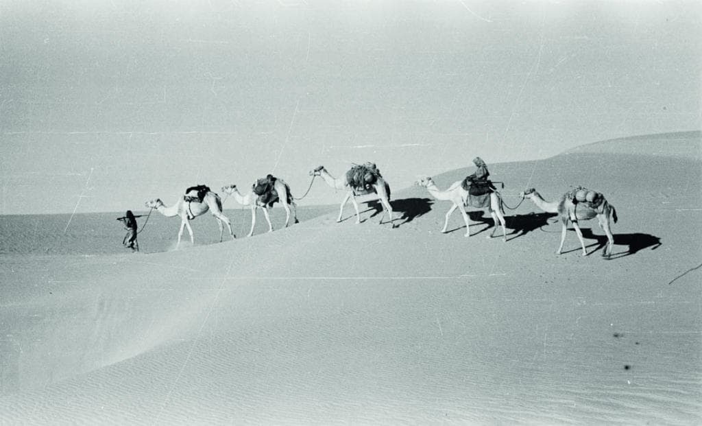 من أمريكا إلى الربع الخالي ليعيش مع بدو البدو