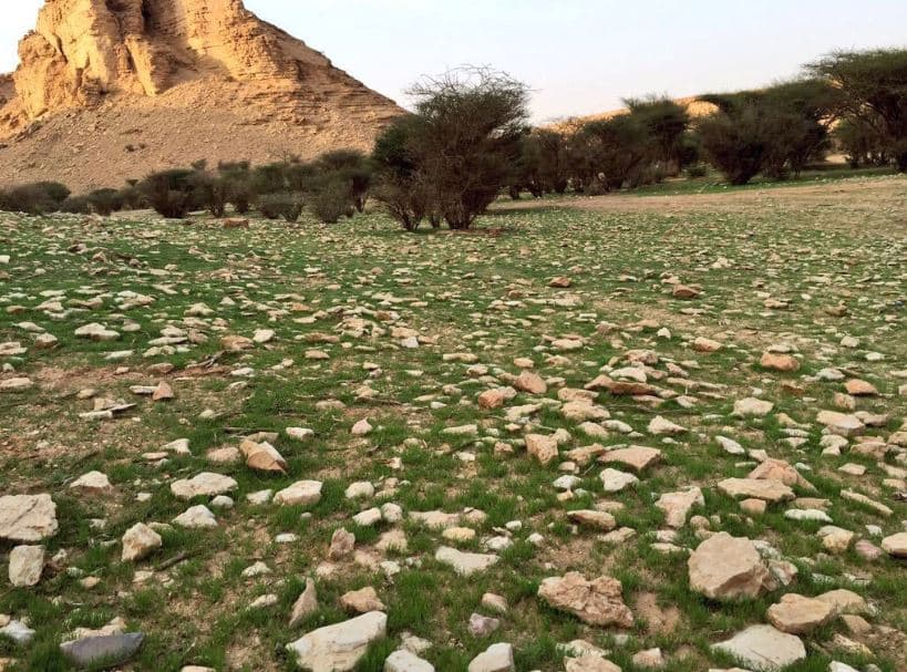 "البيئة": تخصيص منتزه وثيلان الوطني في الخرج