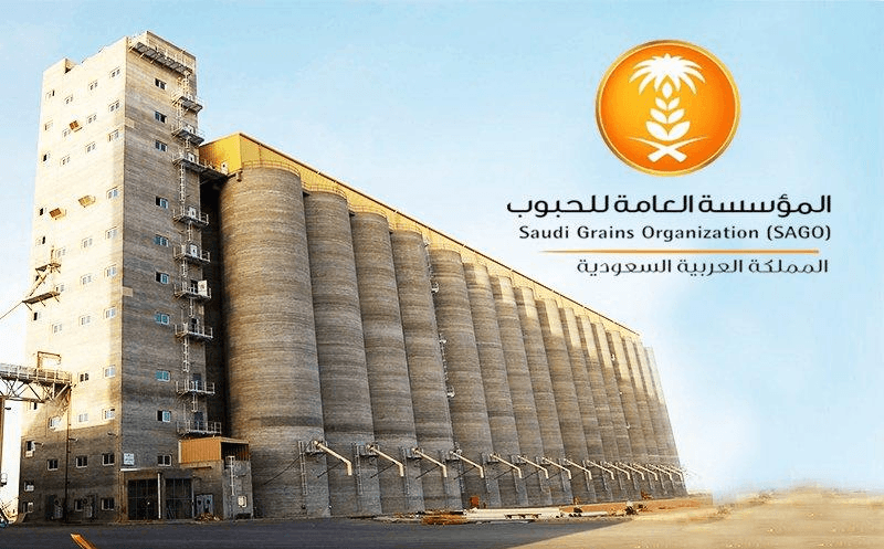 "الحبوب" تعلن آلية شراء القمح من المزارعين المحليين
