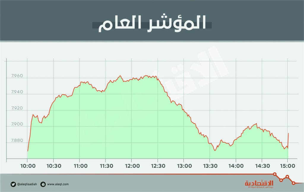 الأسهم السعودية تستعيد اللون الأخضر بدعم "البتروكيماويات" واقتناص الفرص