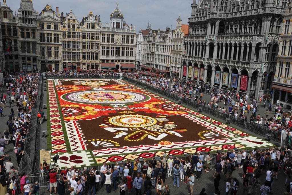 سجادة زهور زاهية تأسر الأنظار في وسط بروكسل رغم حرارة الصيف