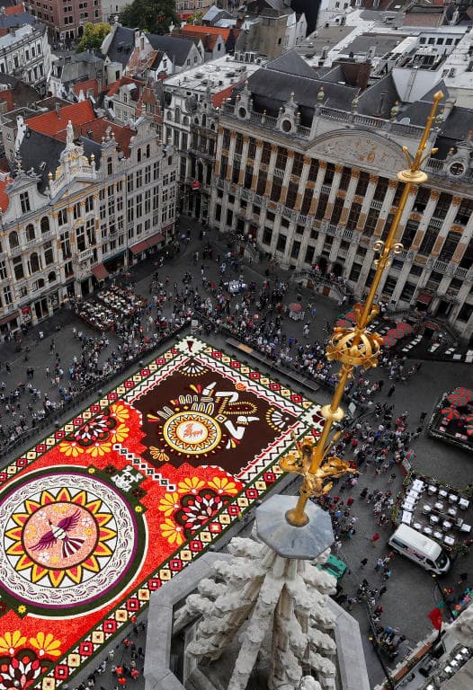 سجادة زهور زاهية تأسر الأنظار في وسط بروكسل رغم حرارة الصيف