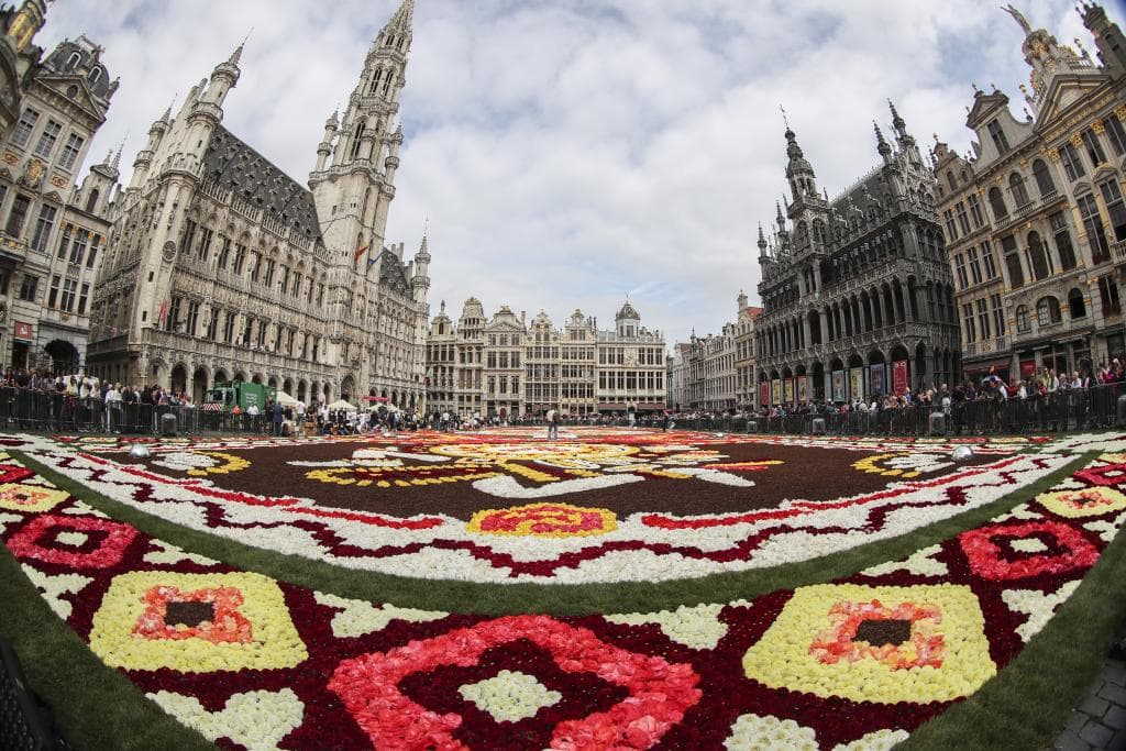 سجادة زهور زاهية تأسر الأنظار في وسط بروكسل رغم حرارة الصيف
