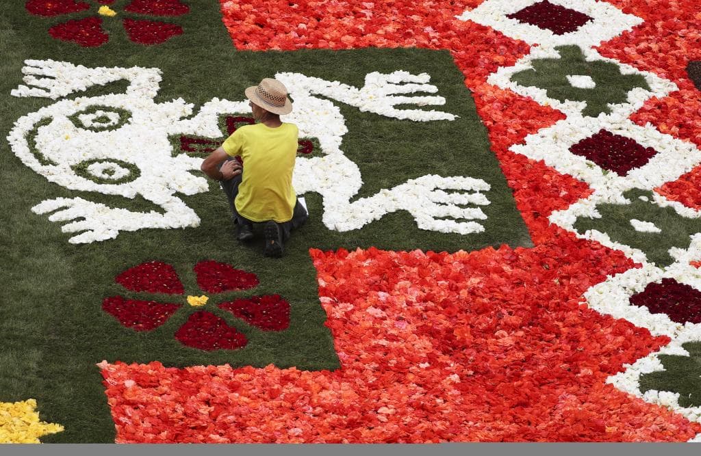 سجادة زهور زاهية تأسر الأنظار في وسط بروكسل رغم حرارة الصيف