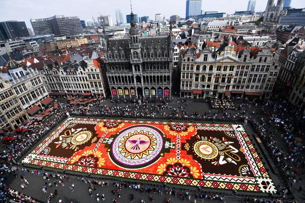 سجادة زهور زاهية تأسر الأنظار في وسط بروكسل رغم حرارة الصيف