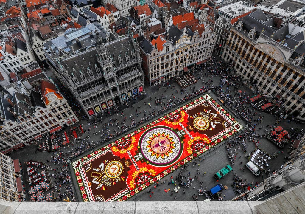 سجادة زهور زاهية تأسر الأنظار في وسط بروكسل رغم حرارة الصيف
