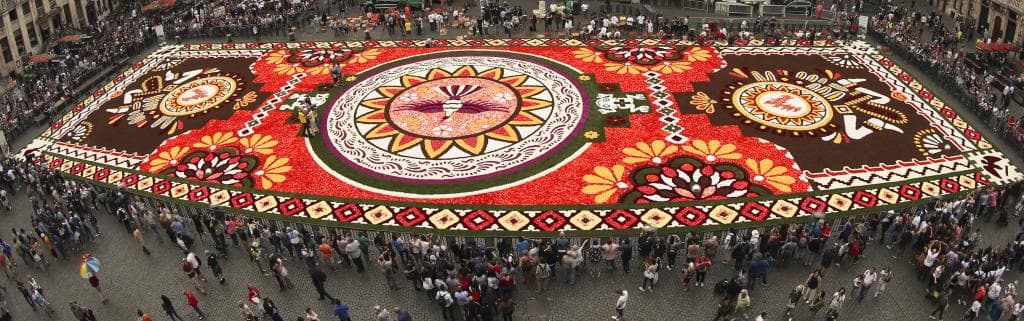 سجادة زهور زاهية تأسر الأنظار في وسط بروكسل رغم حرارة الصيف