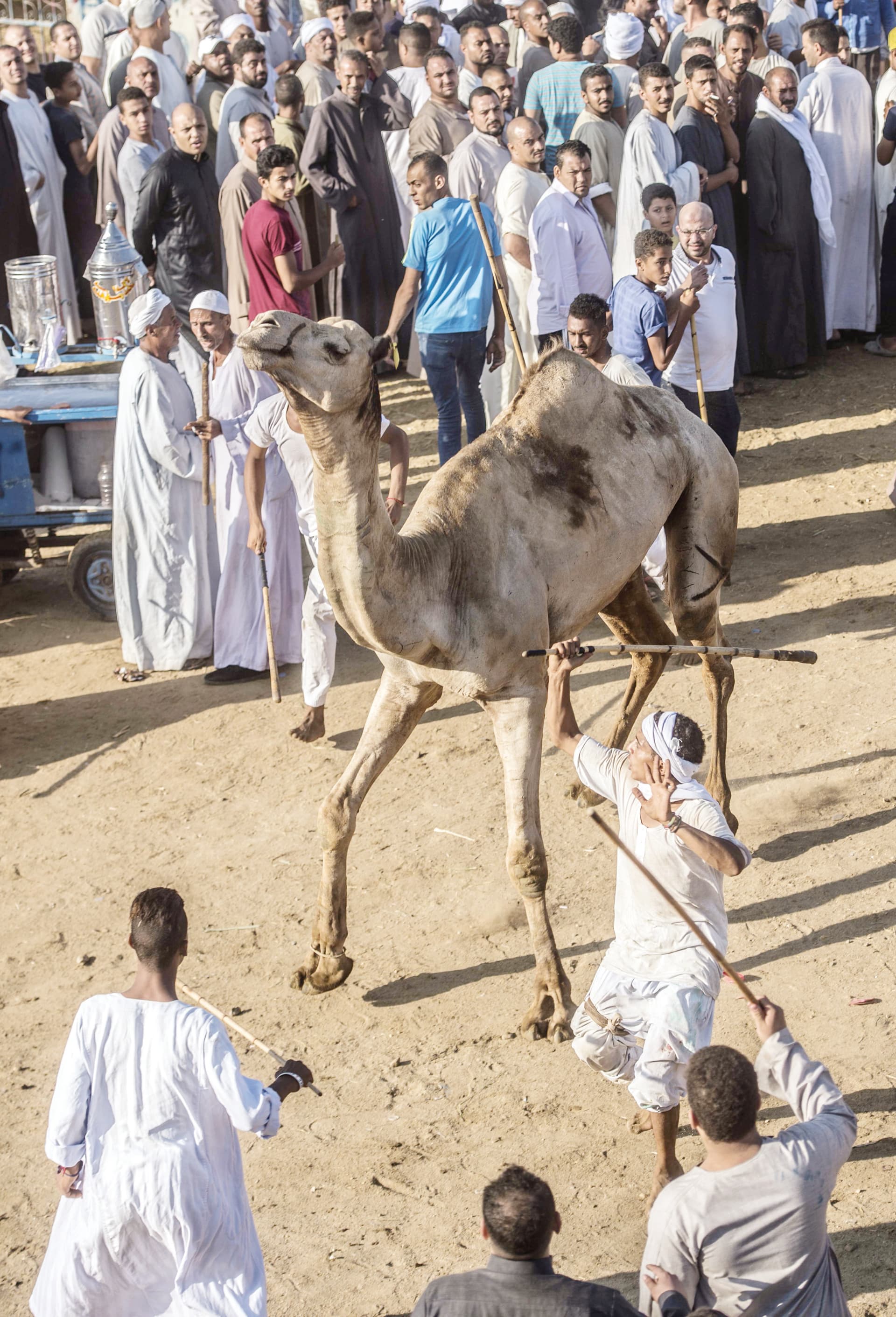"برقاش" .. أكبر أسواق الجمال