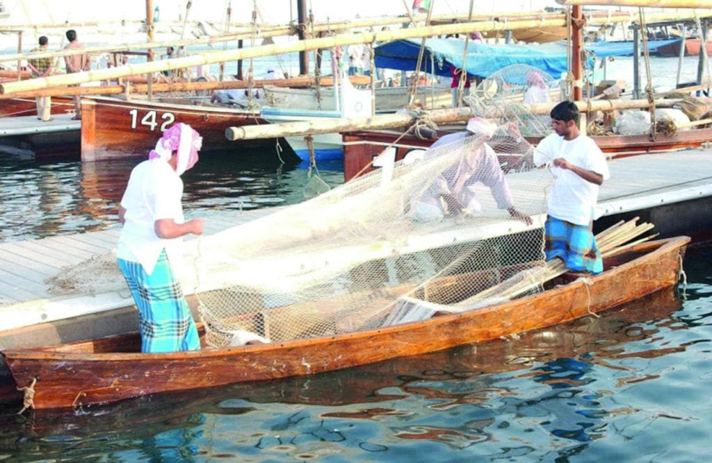 28 ألفا يعملون في قطاع صيد الأسماك .. 90 % منهم أجانب