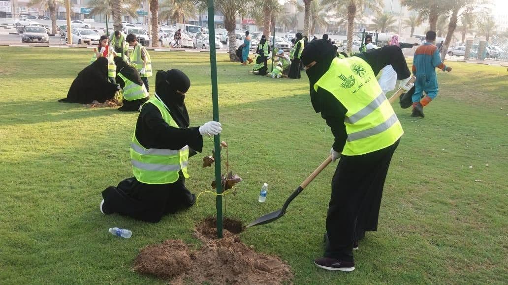 3665 شجرة تم غرسها في 20 موقعا ضمن مبادرة "نزرعها لننعم بها" في الدمام