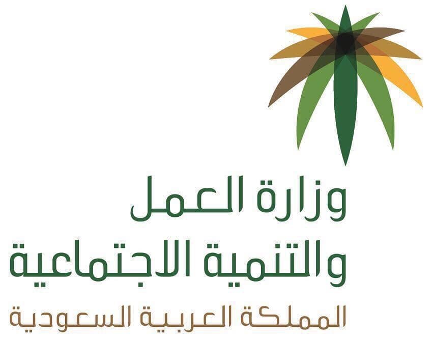 العمل والتنمية الاجتماعية: تعرض مفتش عمل للطعن على يد عمالة وافدة ويجري التنسيق مع الجهات الأمنية للقبض عليهم